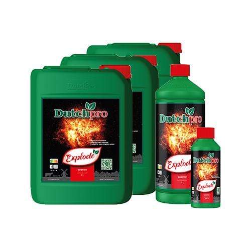 Dutch Pro Explode – Acceleratore Di Fioritura 1 Litro, Stimolante Per Piante Con PK, Vitamine E Micronutrienti, Per Idroponica E Terreno